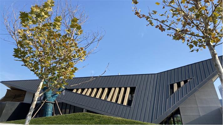 �Ͳ�CBD��������^